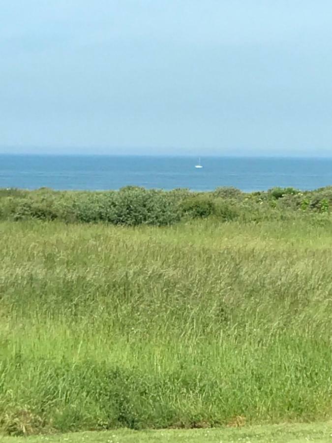 Dans Les Dunes Du Golf